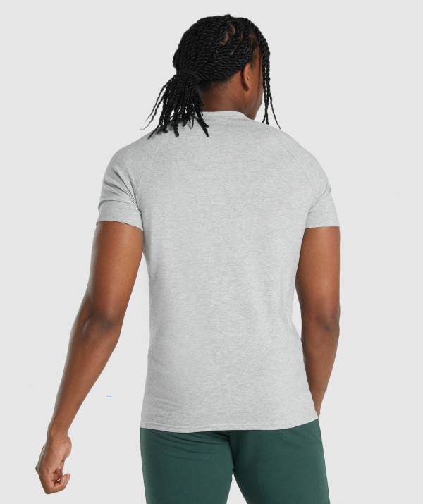 Panske Tricka Gymshark Critical 2.0 Svetlo Siva | HN8756041